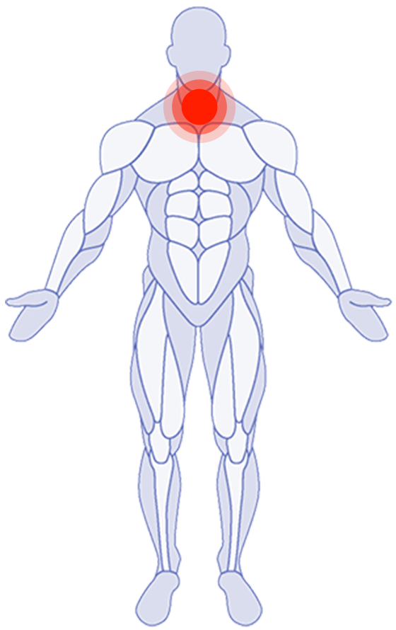 Left body part